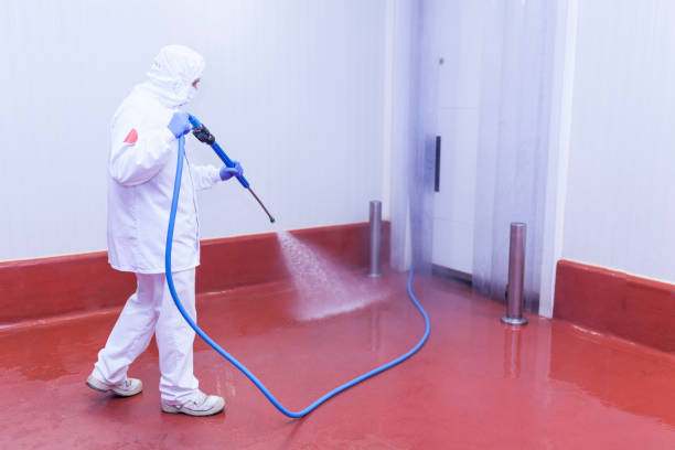 Best Sidewalk and Walkway Pressure Cleaning in Huntington Beach, CA